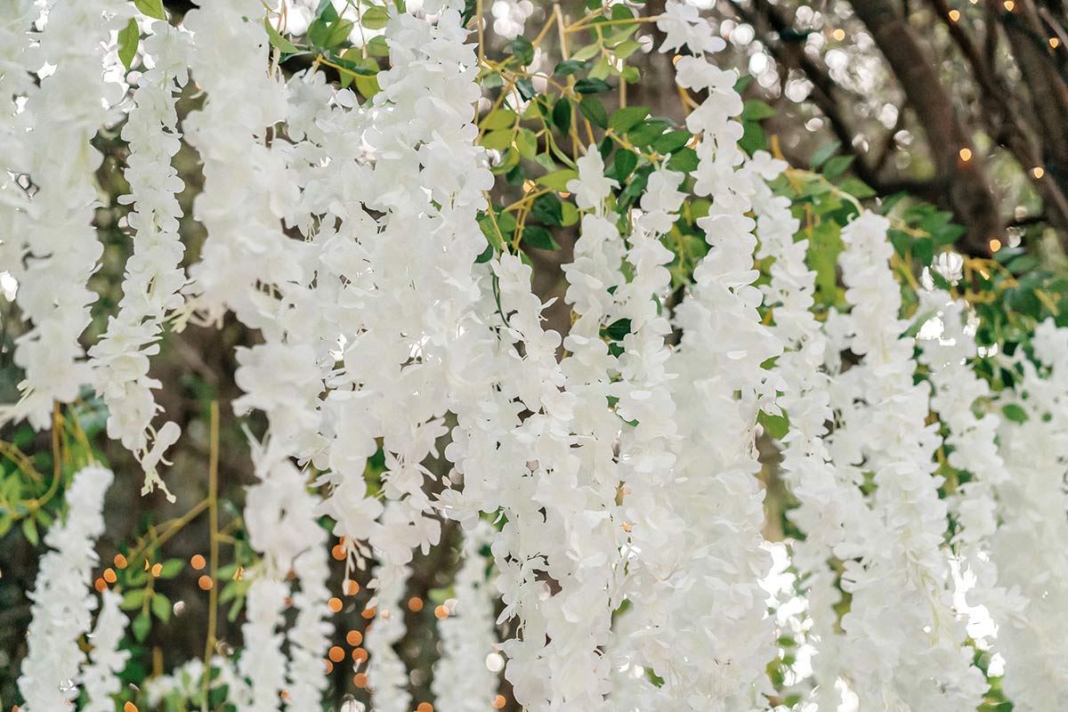 hartley botanica wedding venue