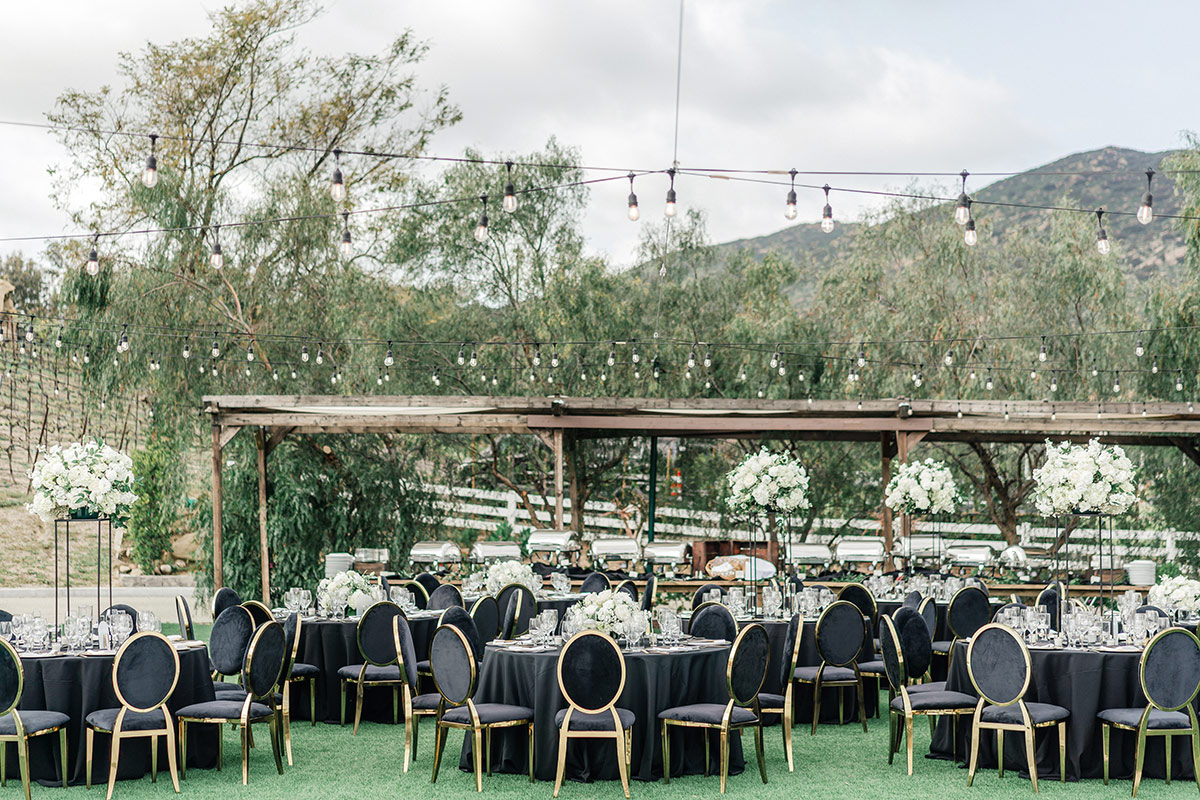 santa susana hummingbird nest ranch