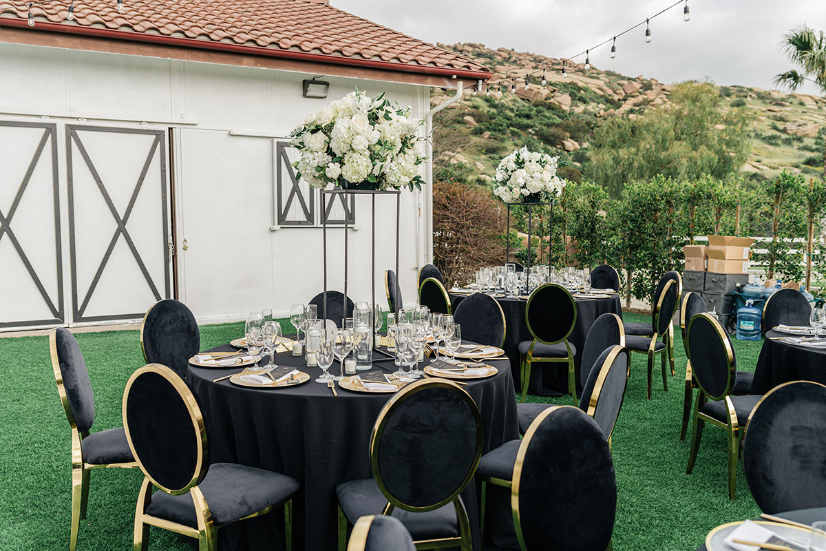 santa susana hummingbird nest ranch