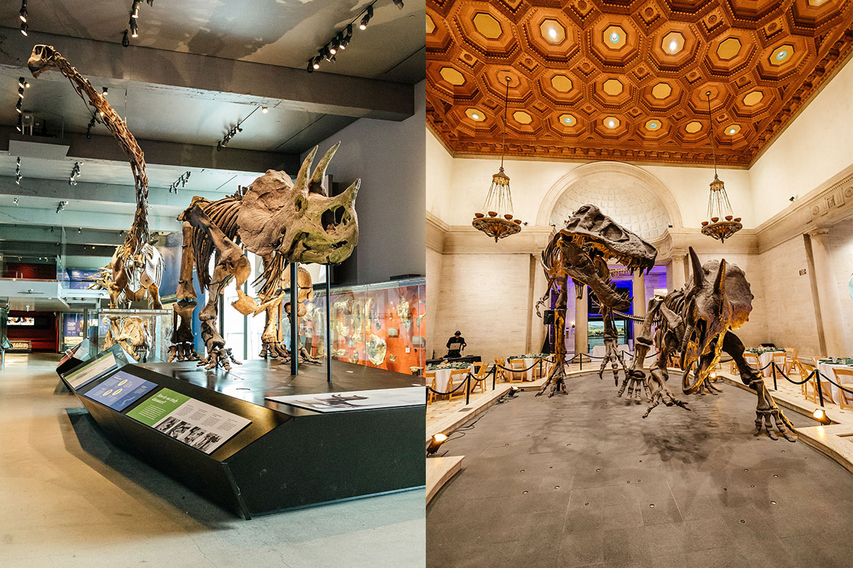 dinosaur hall LA