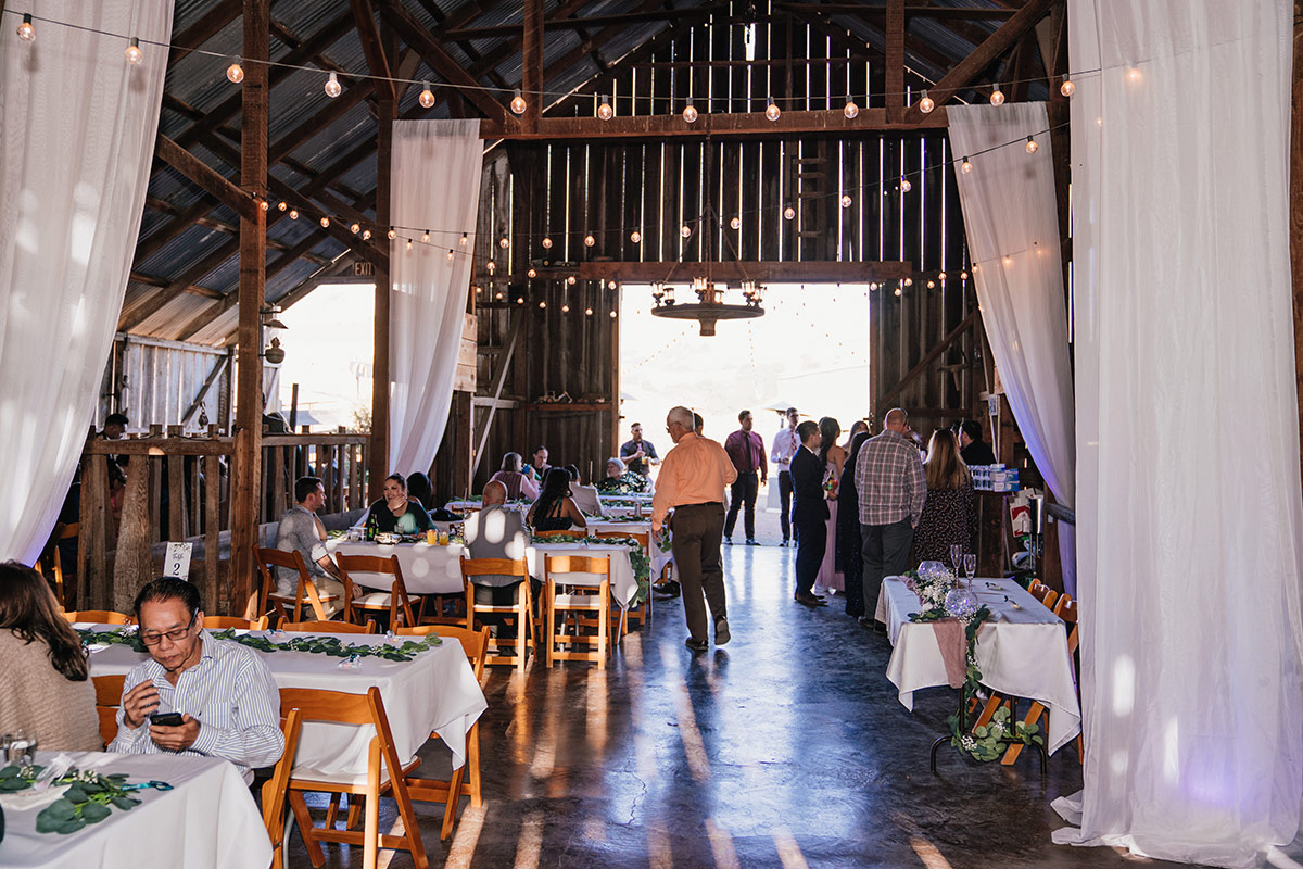 spreafico farms wedding cost