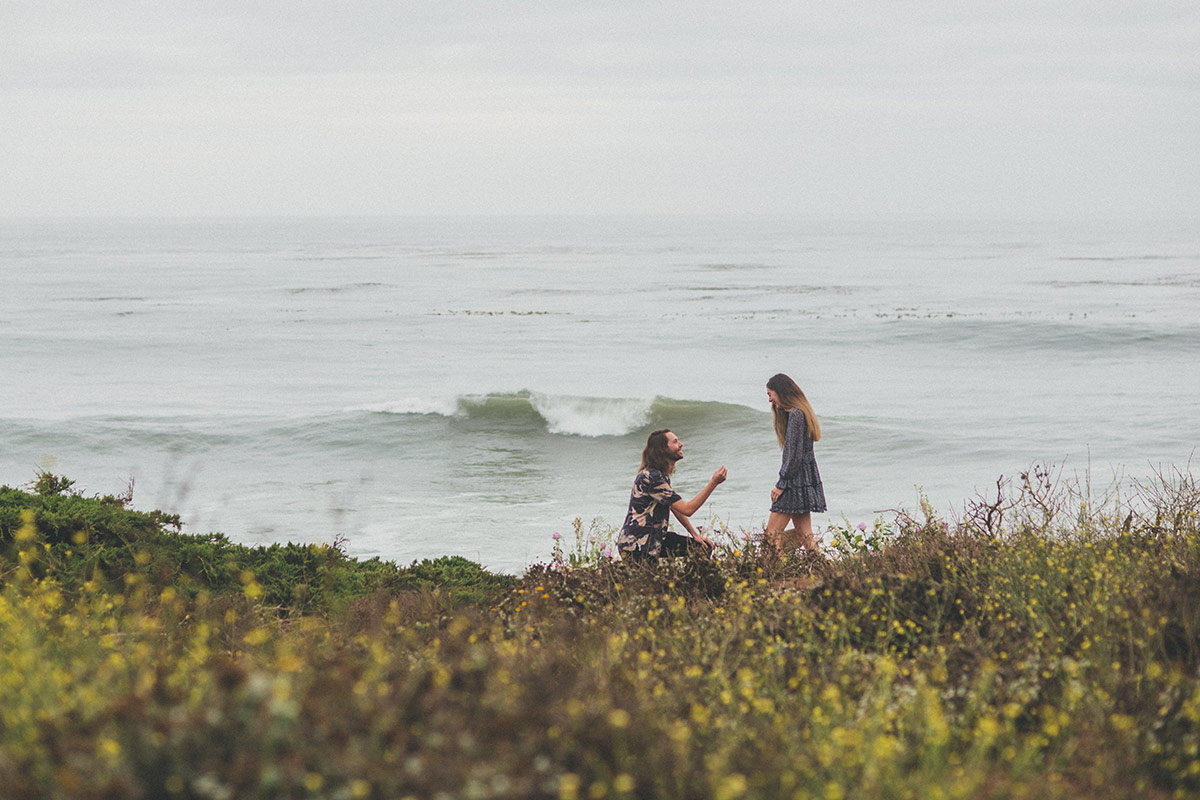 planning a restaurant proposal