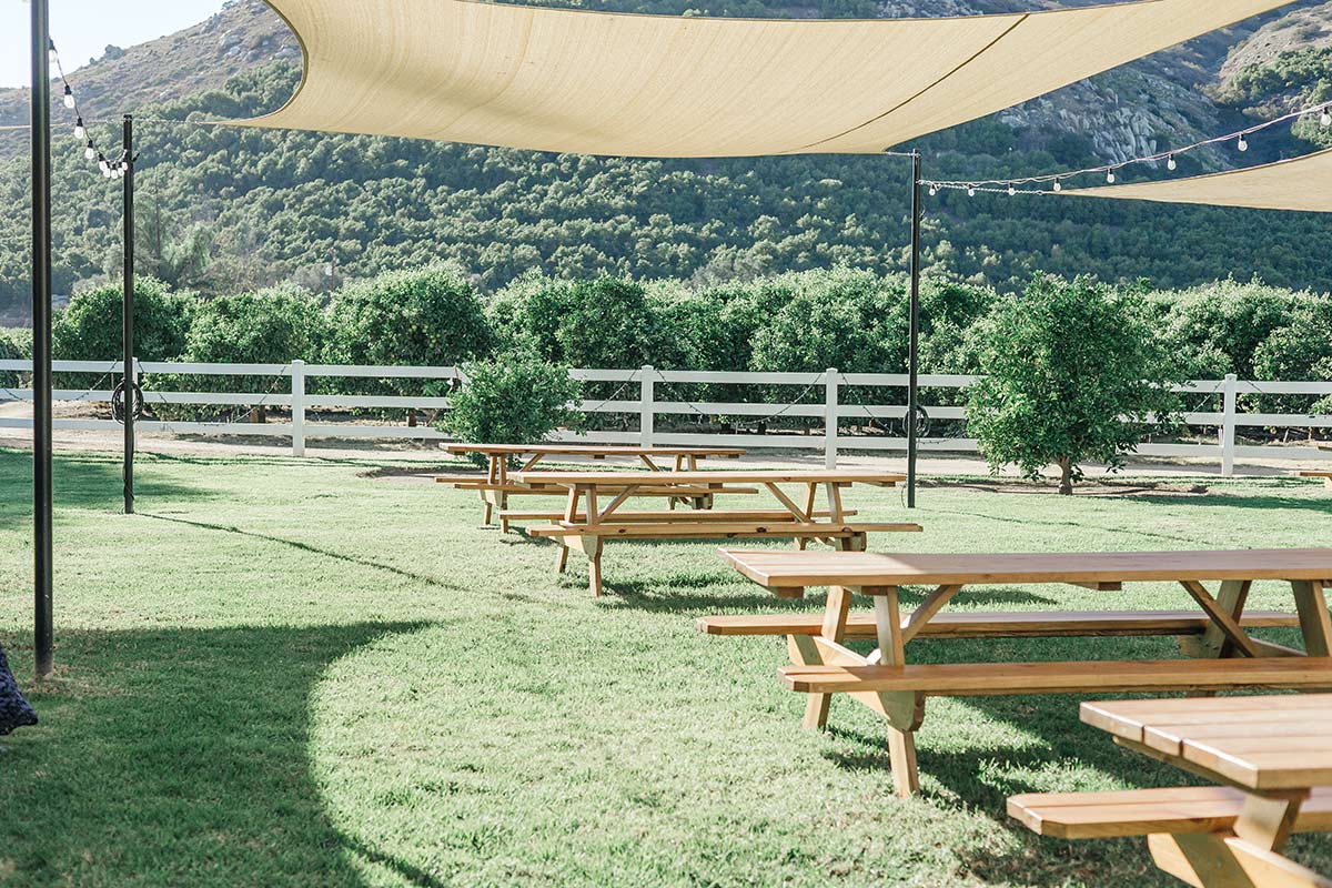 rancho guejito vineyard wedding