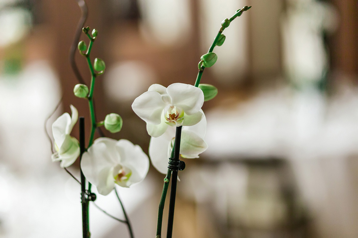 trinity episcopal church